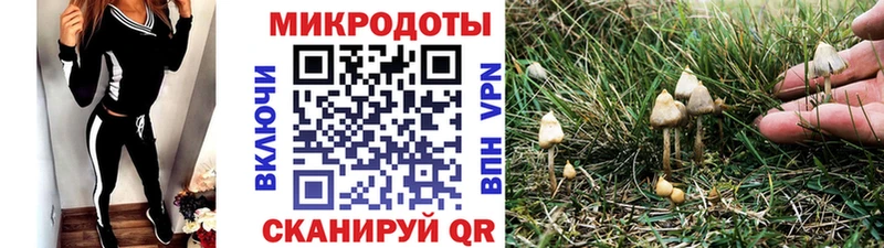 OMG tor Кораблино Галлюциногенные грибы GOLDEN TEACHER